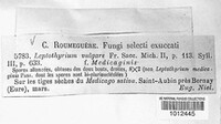 Hypoderma commune image